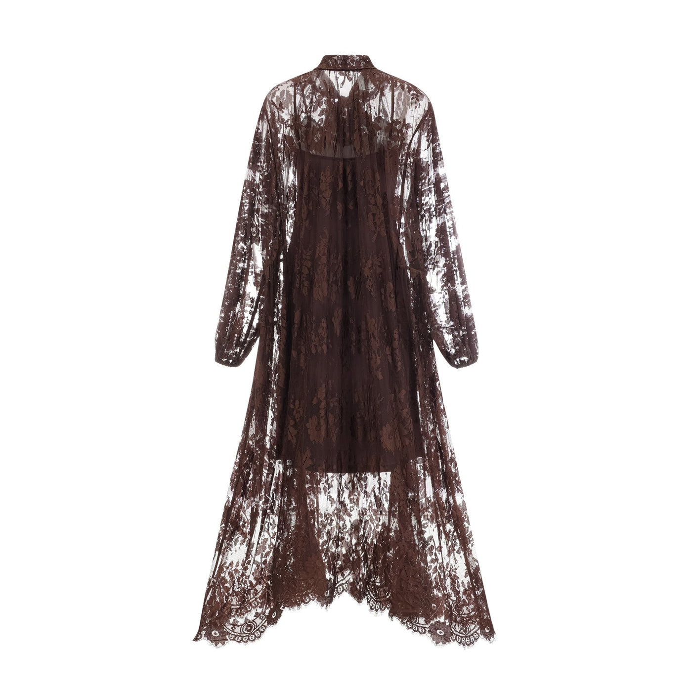Elegant Sylvie Brown Chantilly Lace Flared Midi Dress